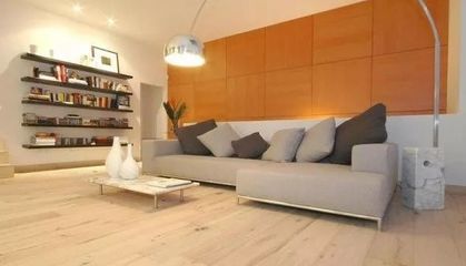 LVT地板的市場現狀和前景預測