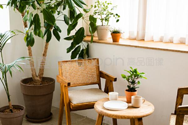 室內植物裝飾花盆,桌子