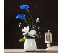 藍色馬蹄蓮 點綴室內設計的優雅之選